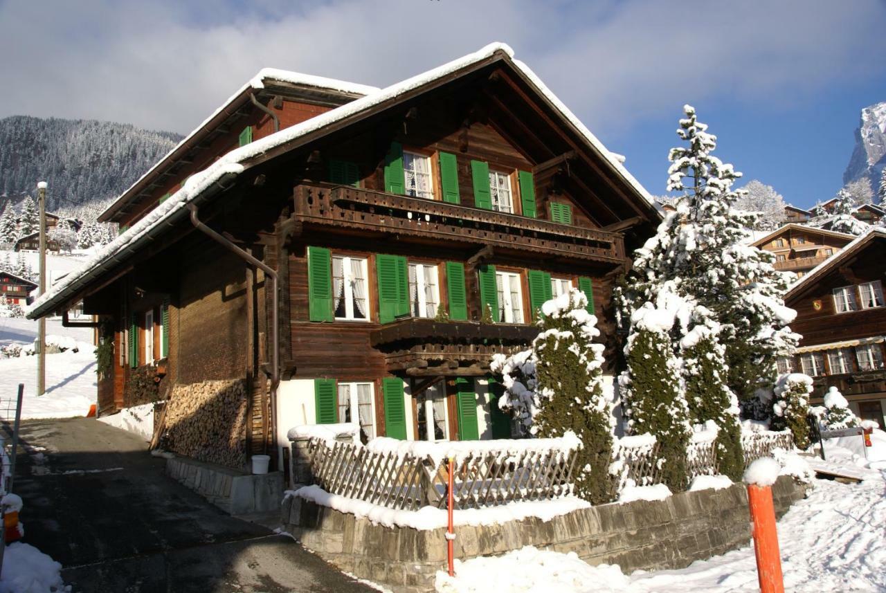 Fluehblueemli Apartment Grindelwald Exterior photo