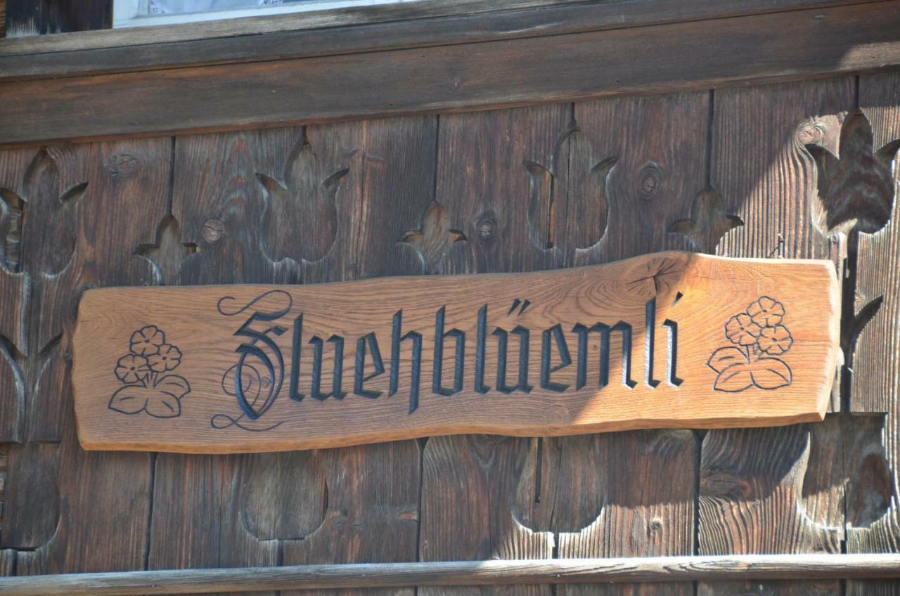 Fluehblueemli Apartment Grindelwald Exterior photo