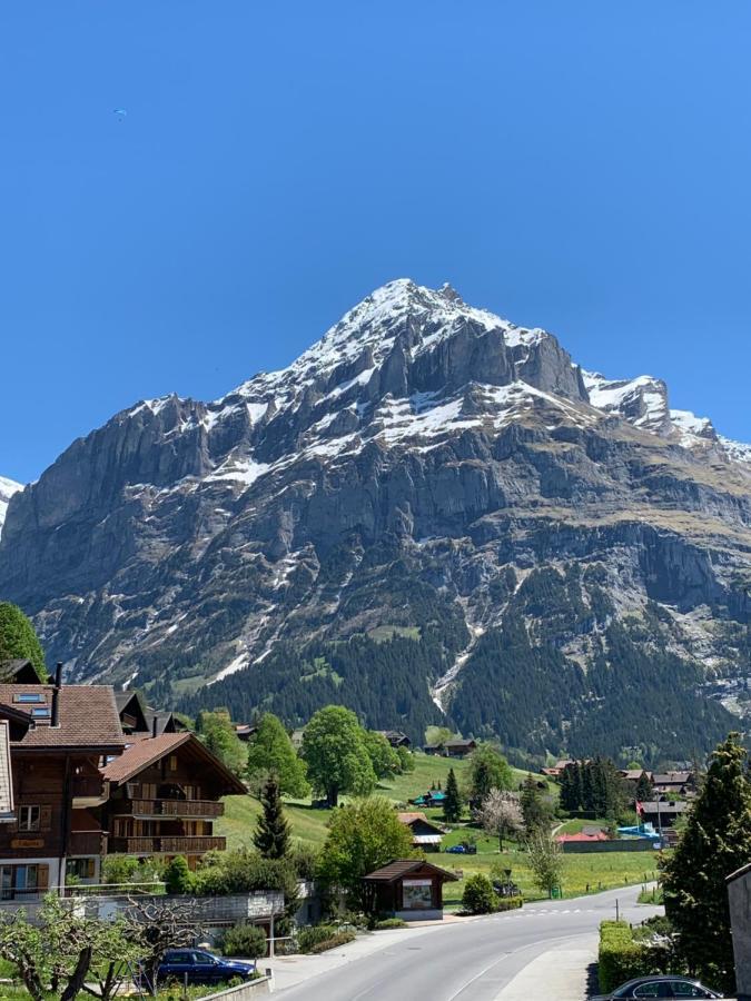 Fluehblueemli Apartment Grindelwald Exterior photo