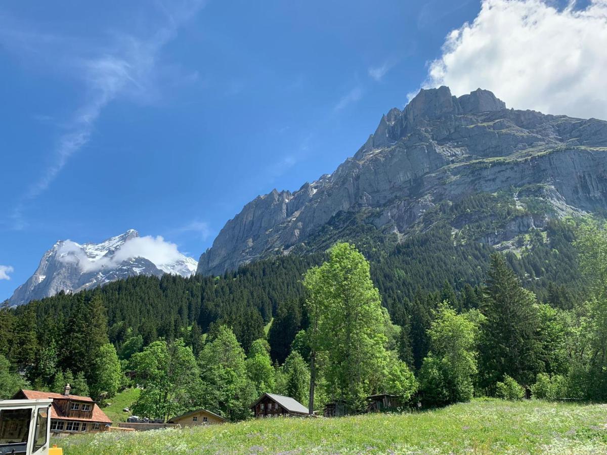 Fluehblueemli Apartment Grindelwald Exterior photo